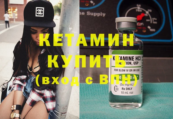 прущие грибы Белокуриха