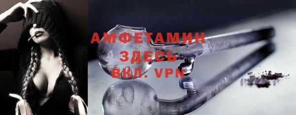 дмт Богородск