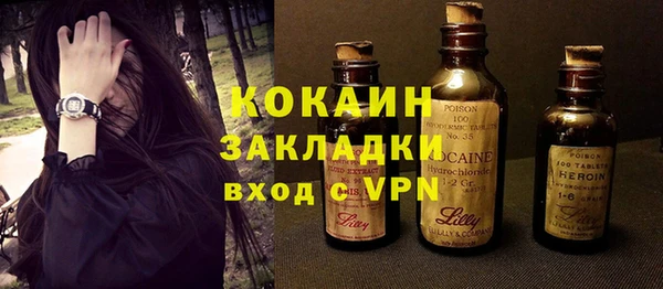 дмт Богородск