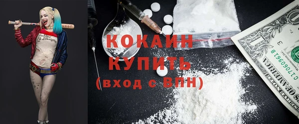 дмт Богородск