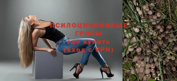 прущая мука Верея