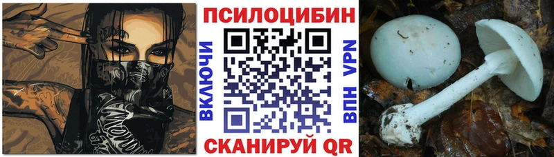 сайты даркнета клад  Вилючинск  Галлюциногенные грибы Magic Shrooms 